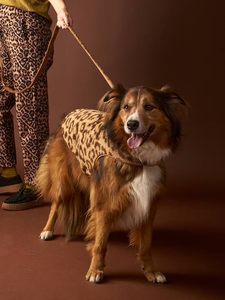 Sherpajas voor honden cappuccino - vertbaudet enfant 