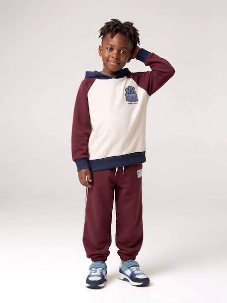 Sweat à capuche garçon bordeaux - vertbaudet enfant 
