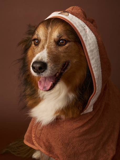 Cape de bain chien coton cappuccino - vertbaudet enfant 