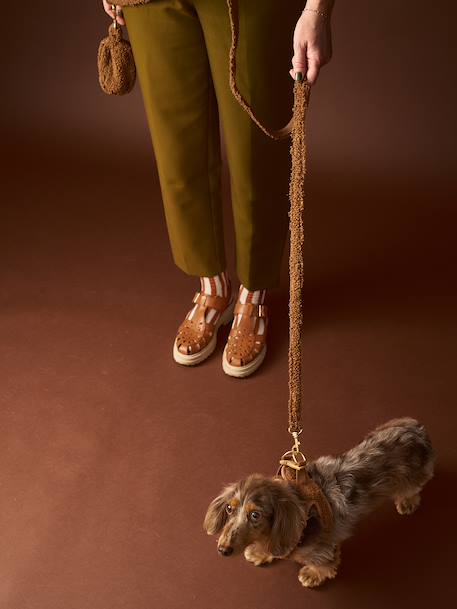 Hondenwandeling set: harnas + riem + halsband chocoladebruin+koffie - vertbaudet enfant 