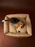 Panier matelassé en velours pour chien, disponible en 3 tailles camel+marron imprimé - vertbaudet enfant 