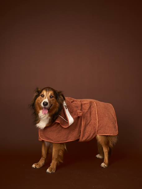 Cape de bain chien coton cappuccino - vertbaudet enfant 