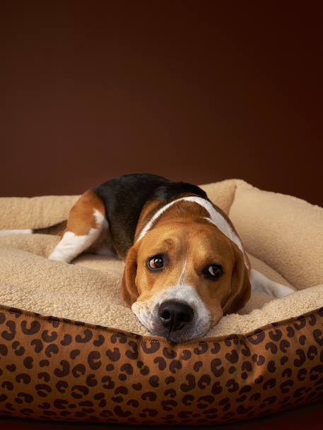 Panier matelassé en velours pour chien, disponible en 3 tailles camel+marron imprimé - vertbaudet enfant 