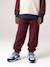 Pantalon de jogging garçon bordeaux+gris ardoise - vertbaudet enfant 