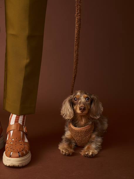 Hondenwandeling set: harnas + riem + halsband chocoladebruin+koffie - vertbaudet enfant 