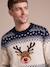 Pull de Noël Adulte Mixte Capsule Famille marine - vertbaudet enfant 