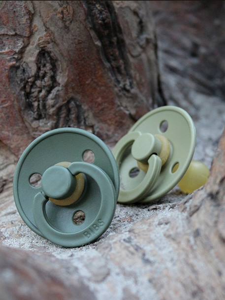 Lot de 2 sucettes-tétines Colour, taille 1 de 0 à 6 mois BLEU PROFOND/PETROLE+blush+GRIS FER/BLEU LAYETTE+ROSE POUDRE/VANILLE+TERRACOTTA/ROSE POUDRE+VERT AMANDE/KAKI - vertbaudet enfant 