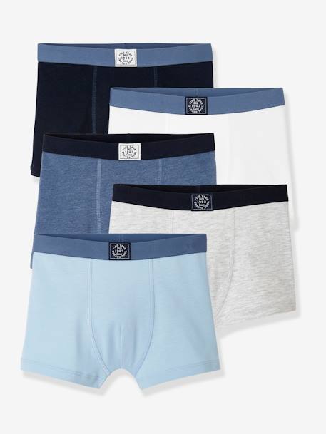 Lot de 5 boxers garçon BASICS bleu clair - vertbaudet enfant 