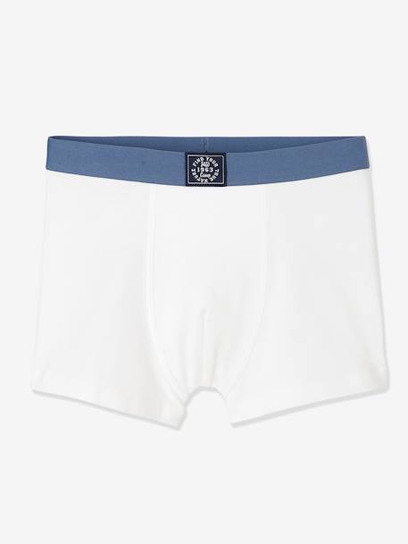 Lot de 5 boxers garçon BASICS bleu clair - vertbaudet enfant 