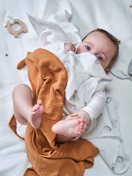 Lot de 3 langes MINI COMPAGNIE en gaze de coton bio* écru / caramel - vertbaudet enfant 