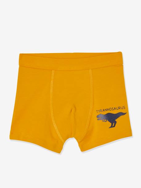 Set van 7 stretchboxers voor jongens Dino's Oeko-Tex® Set ivoor - vertbaudet enfant 