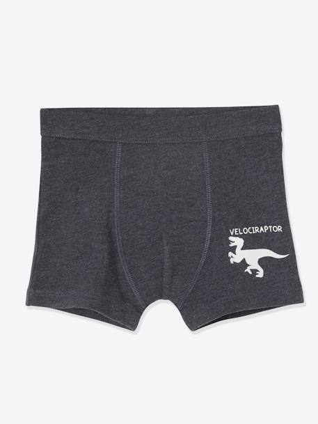 Set van 7 stretchboxers voor jongens Dino's Oeko-Tex® Set ivoor - vertbaudet enfant 