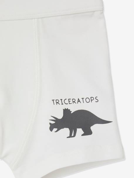 Set van 7 stretchboxers voor jongens Dino's Oeko-Tex® Set ivoor - vertbaudet enfant 