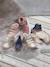 Chaussures premiers pas bébé lacets or - vertbaudet enfant 