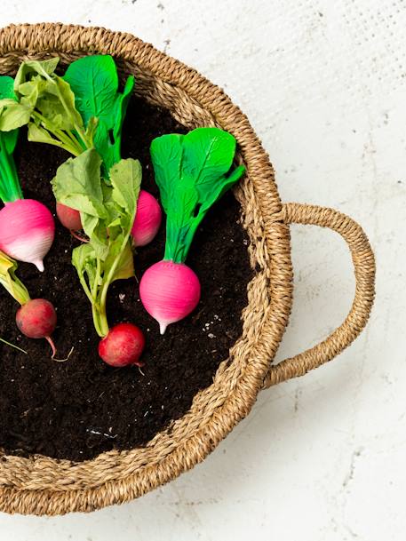 Jouet de dentition Ramona le Radis - ROSE - vertbaudet enfant 