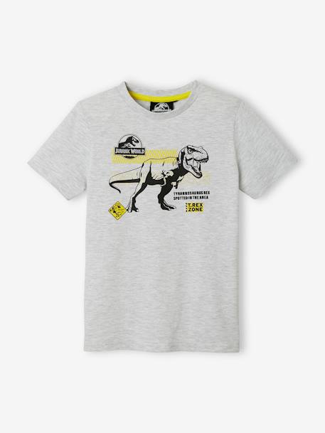 T-shirt jongens Jurassic World® Grijs gechineerd - vertbaudet enfant 