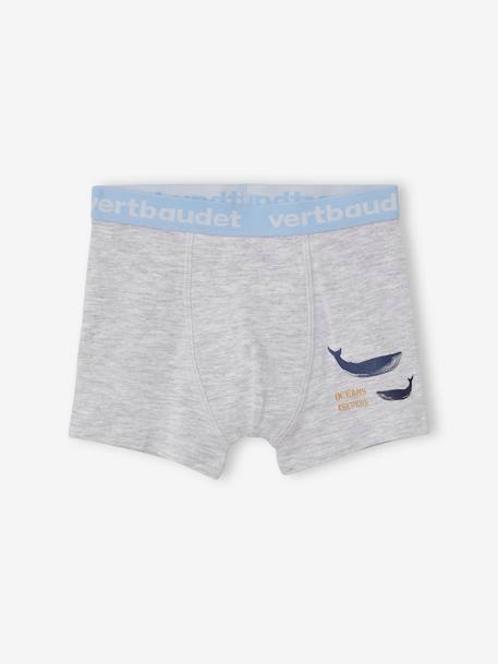 Lot de 5 boxers stretch garçon baleines Lot bleu - vertbaudet enfant 