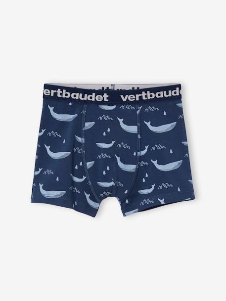 Lot de 5 boxers stretch garçon baleines Lot bleu - vertbaudet enfant 