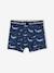 Lot de 5 boxers stretch garçon baleines Lot bleu - vertbaudet enfant 