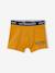 Lot de 5 boxers stretch garçon baleines Lot bleu - vertbaudet enfant 