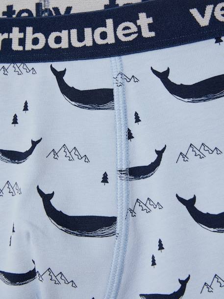 Lot de 5 boxers stretch garçon baleines Lot bleu - vertbaudet enfant 
