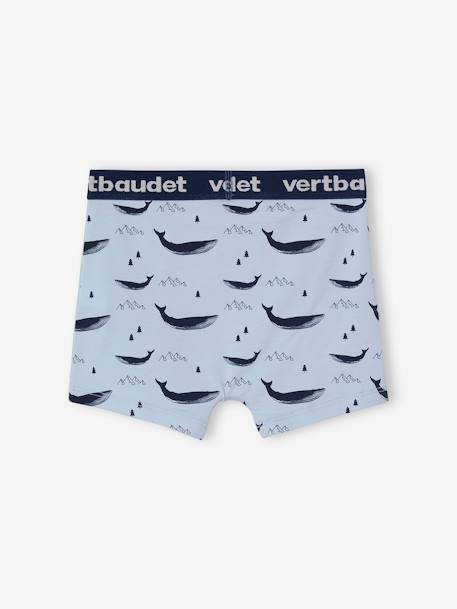 Lot de 5 boxers stretch garçon baleines Lot bleu - vertbaudet enfant 