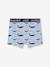 Lot de 5 boxers stretch garçon baleines Lot bleu - vertbaudet enfant 