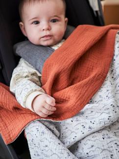 Verzorging-Voetenzakken, dekentjes-Dekentjes-Dubbelzijdige deken voor kinderwagen Hanoï