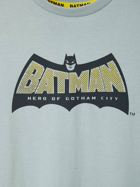 T-shirt garçon DC Comics® Batman Gris - vertbaudet enfant 