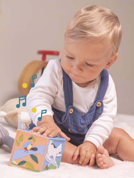 Mijn eerste zintuiglijke verhalendoos - Joyeuse MEERKLEURIG - vertbaudet enfant 