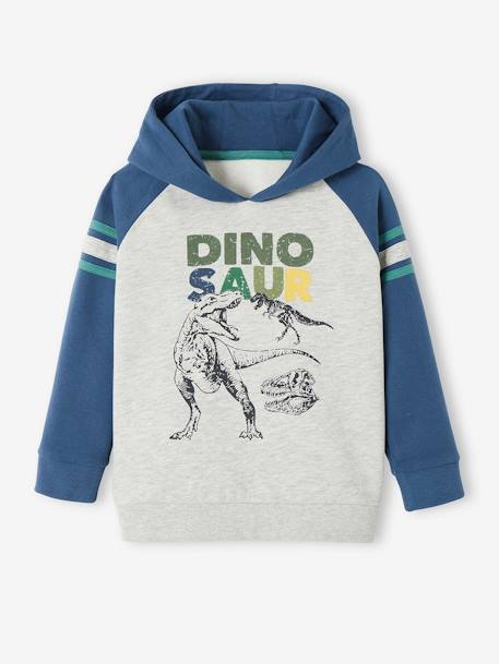 Sweat à capuche motif graphique garçon manches raglan BLEU MOYEN - vertbaudet enfant 