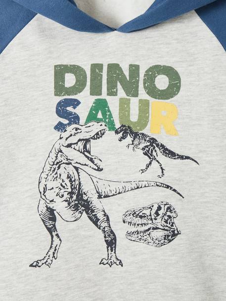 Sweat à capuche motif graphique garçon manches raglan BLEU MOYEN - vertbaudet enfant 