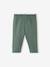 Molton babybroek met elastische taille flesgroen+inkt+rozen - vertbaudet enfant 