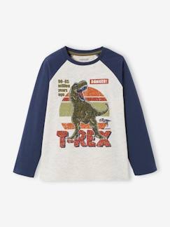 Jongens-T-shirt, poloshirt, souspull-Oeko-Tex® grafisch jongens-T-shirt met raglanmouwen