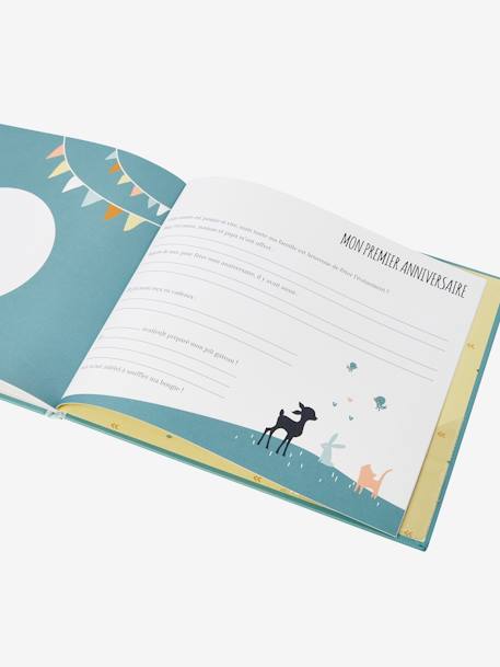 Mon livre de naissance + toise vert - vertbaudet enfant 