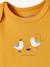 Lot de 5 bodies manches longues bébé emmanchure US lot jaune épicé - vertbaudet enfant 