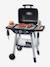 Barbecue Grill - noir - vertbaudet enfant 