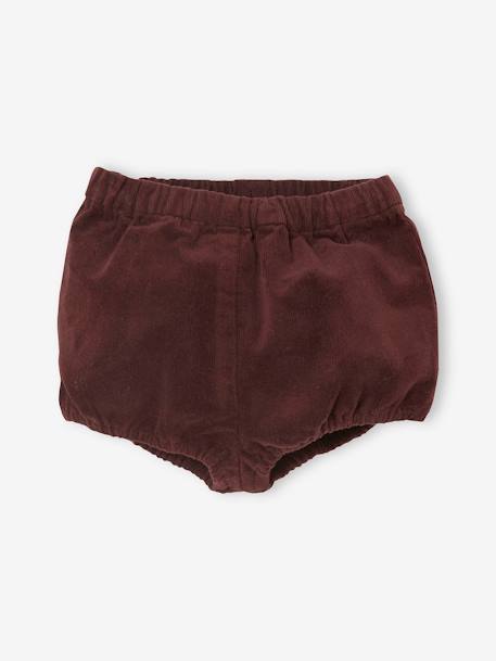 Lot de 2 bloomers bébé fille en velours Bordeaux/Beige AOP - vertbaudet enfant 