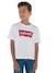 Batwing-Jongensshirt van Levi's¨ blauw+wit - vertbaudet enfant 