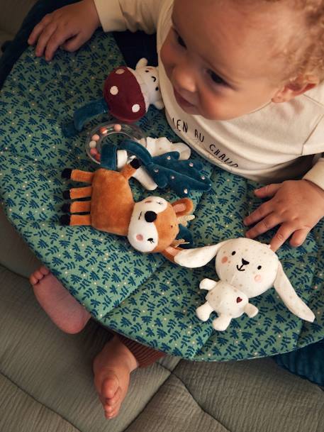 Ontdekkingskussen voor baby's beige+bruin+groen+ORANJE+wit - vertbaudet enfant 