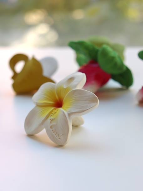 Hawaii la Fleur - OLI & CAROL blanc - vertbaudet enfant 