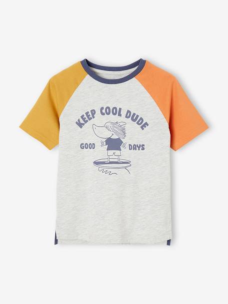 Colorblock jongensshirt met haaienprint gemêleerd grijs - vertbaudet enfant 