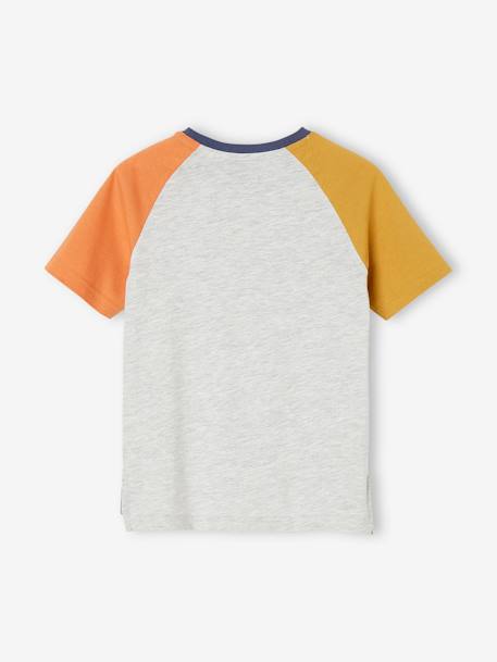 Colorblock jongensshirt met haaienprint gemêleerd grijs - vertbaudet enfant 