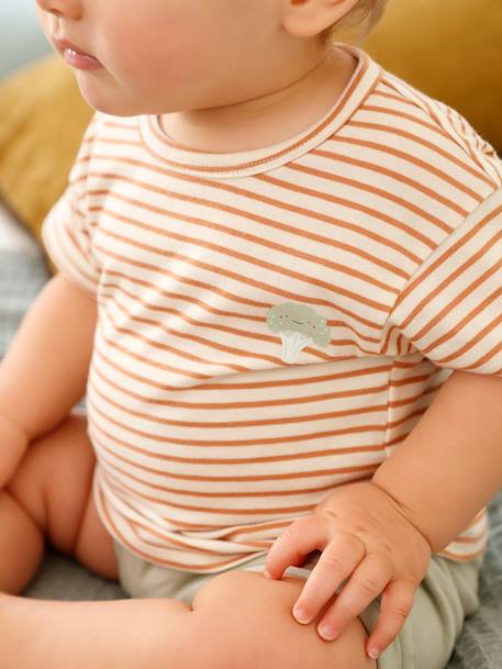 Set van 2 T-shirts voor uw baby, met korte mouwen ijsblauw - vertbaudet enfant 
