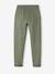 Pantalon garçon jogger en molleton encre+noir imprimé+vert sauge - vertbaudet enfant 