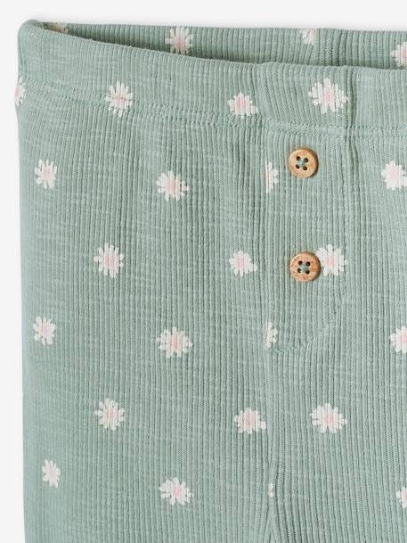 Effen geribbelde legging voor baby saliegroen+vanille - vertbaudet enfant 