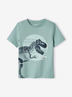 Jongens-T-shirt, poloshirt, souspull-Jongensshirt met grote dinosaurusprint