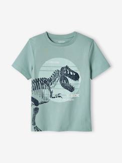 -T-shirt garçon motif dinosaure géant 