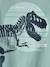 Jongensshirt met grote dinosaurusprint mintgroen - vertbaudet enfant 