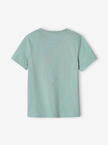 Jongensshirt met grote dinosaurusprint mintgroen - vertbaudet enfant 